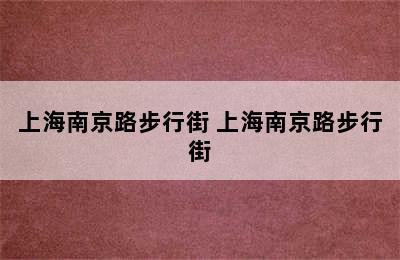 上海南京路步行街 上海南京路步行街